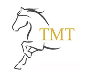 www.tmt.bg