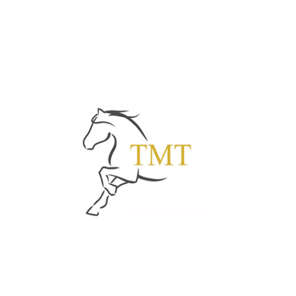 TMT.BG logo